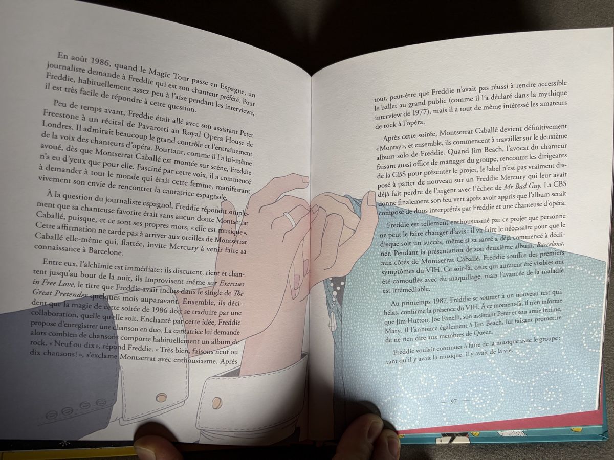Libri: Freddie Mercury Buch – Usato da Balsthal venduto da Sven.sch 3