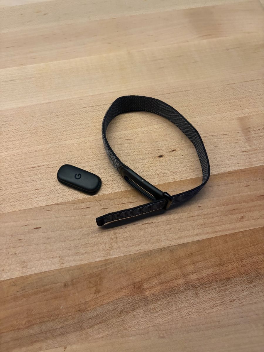 Google Fitbit Air Fitness Tracker (Neu (gemäss Beschreibung)) in Zürich ...