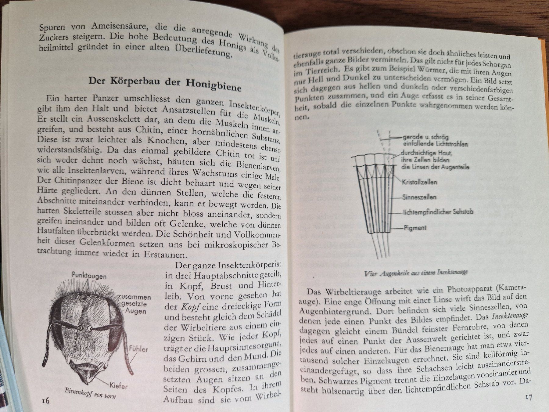 Libri: Die Biene - Hallwag Sammelbuch Nr. 41 – Usato da Burgdorf venduto da gre_2ftz 3