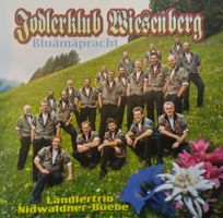 Jodel CD / Jodlerklub Wiesenberg /  Bluämäpracht ab Fr. 4.-