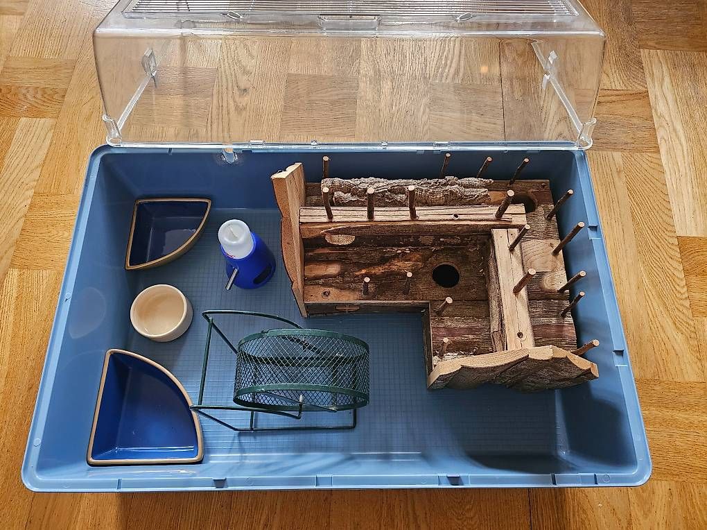 Ferplast Gabbie, trasporto & Sicurezza: Ensemble complet pour hamster / souris – Ferplast Duna Multy – Usato da Lausanne venduto da ale_6c5g 2