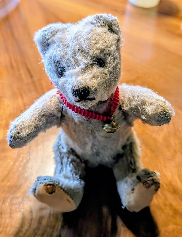Giocattoli: Alter Teddy – Usato da Subingen venduto da Rusti79