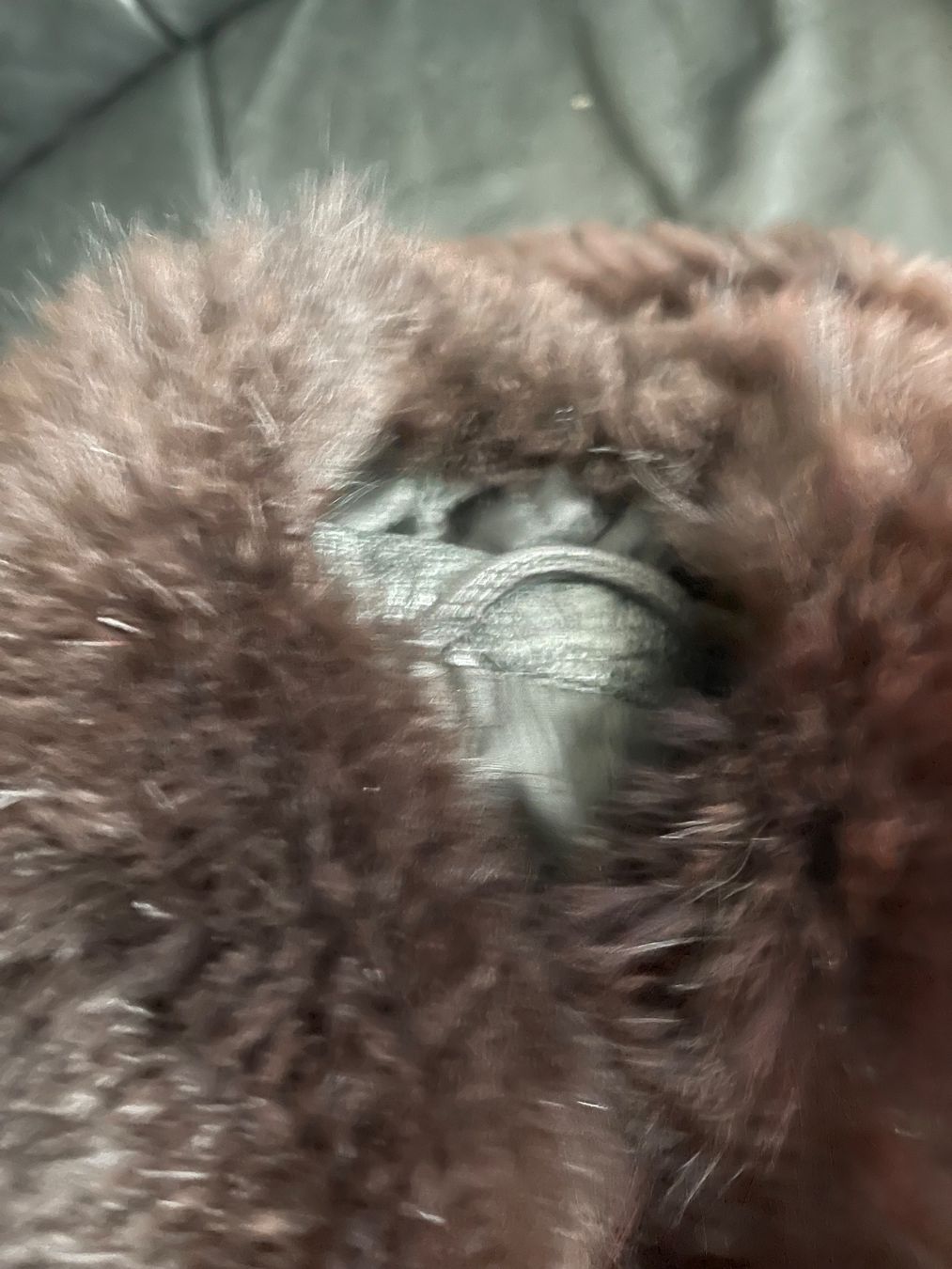 Mäntel: Wild leder  vintage – Gebraucht aus Hinterkappelen von lid_9h7j 4