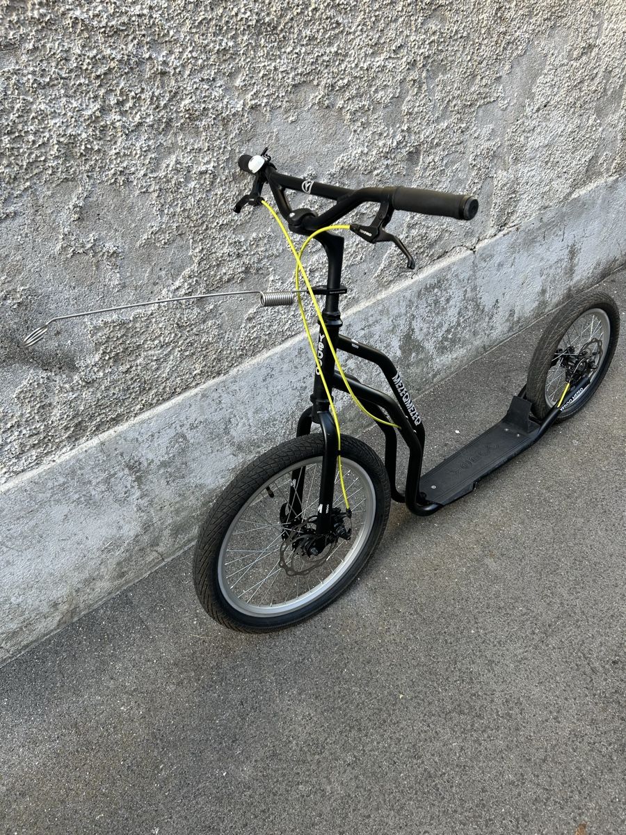 Kickboard: Dogscooter  – Usato da Uznach venduto da MarcE04