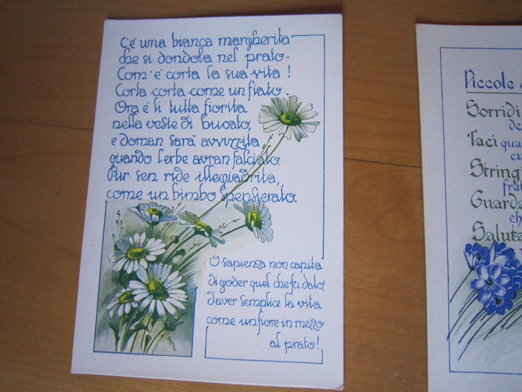 Cartes postales: No 10 Postkarten piccole cose preziose BLUMEN – D'occasion à Gordola par Polentaefung 2