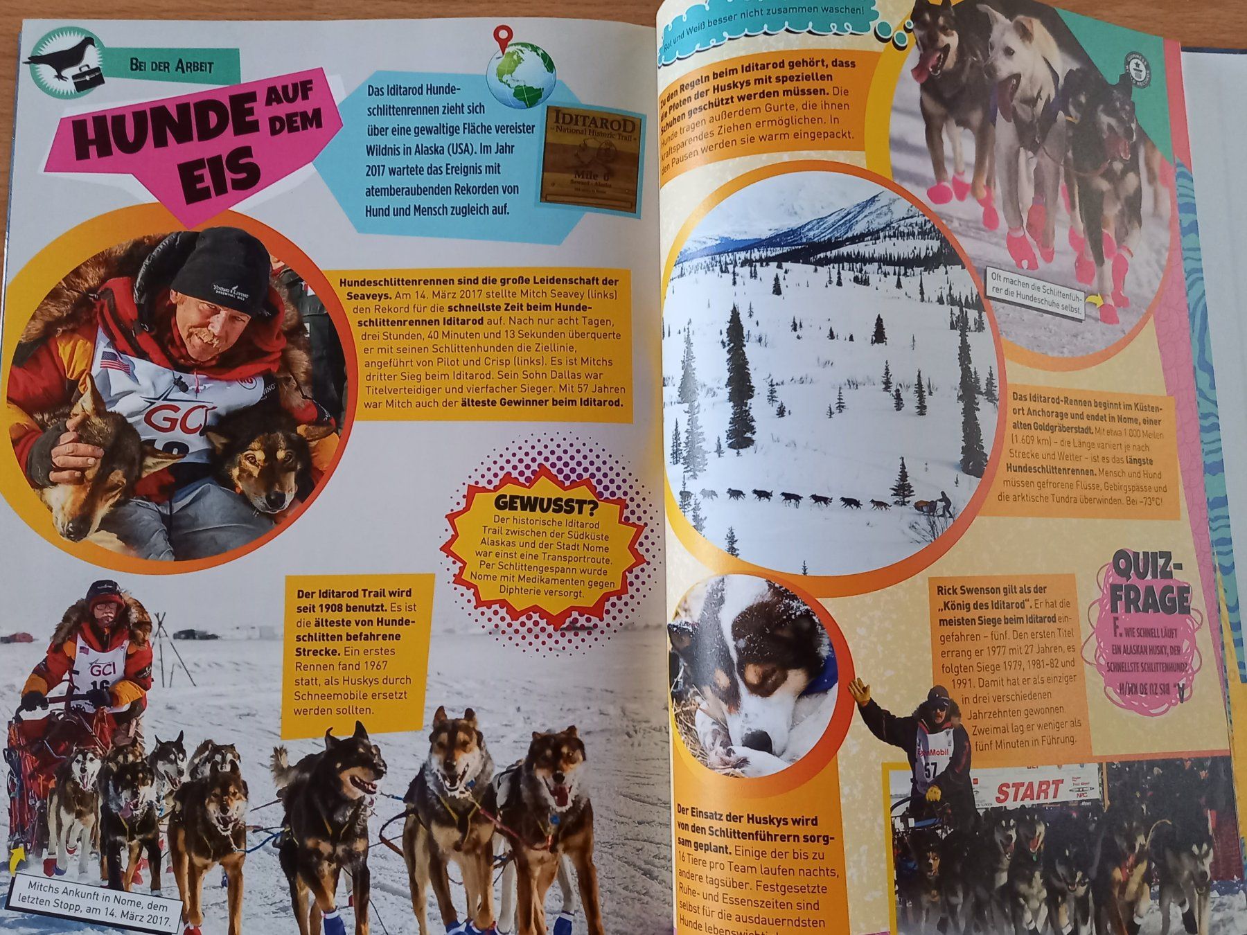 Libri: Guinness World Records Super Tiere Buch – Usato da Obernau venduto da Corolli 8