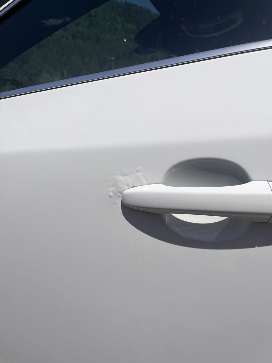 Volvo Automobili: Volvo v60 D4 awd  – Usato da Mont-de-Buttes venduto da Broussailles 4