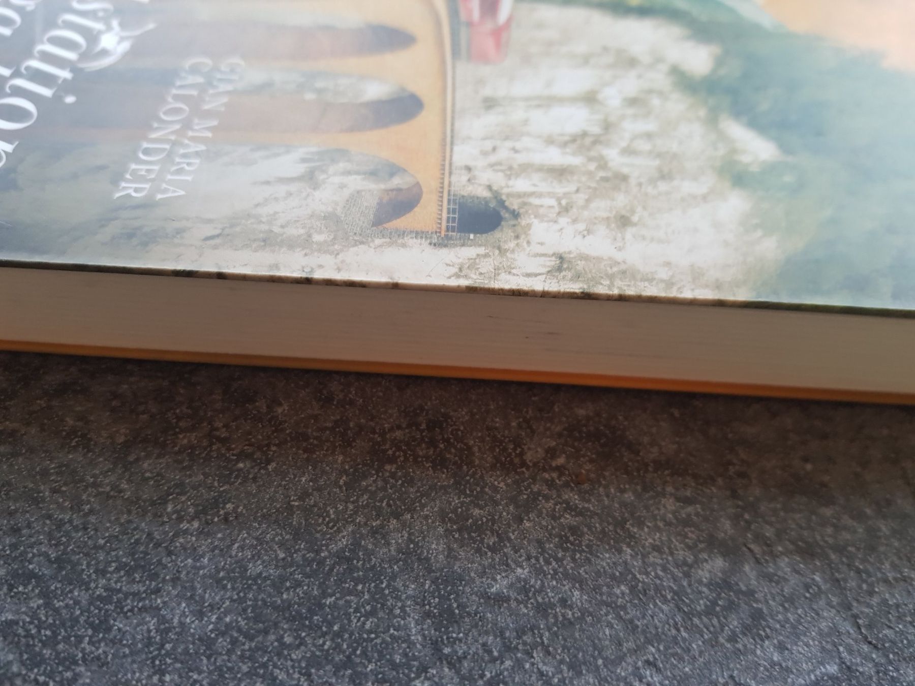 Bücher: Endstation Engadin / Gian Maria Calonder / Krimi – Gebraucht aus Dietikon von marconi07 2