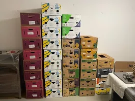 Set von Bananenschachteln / Zügelkisten / Umzugskarton