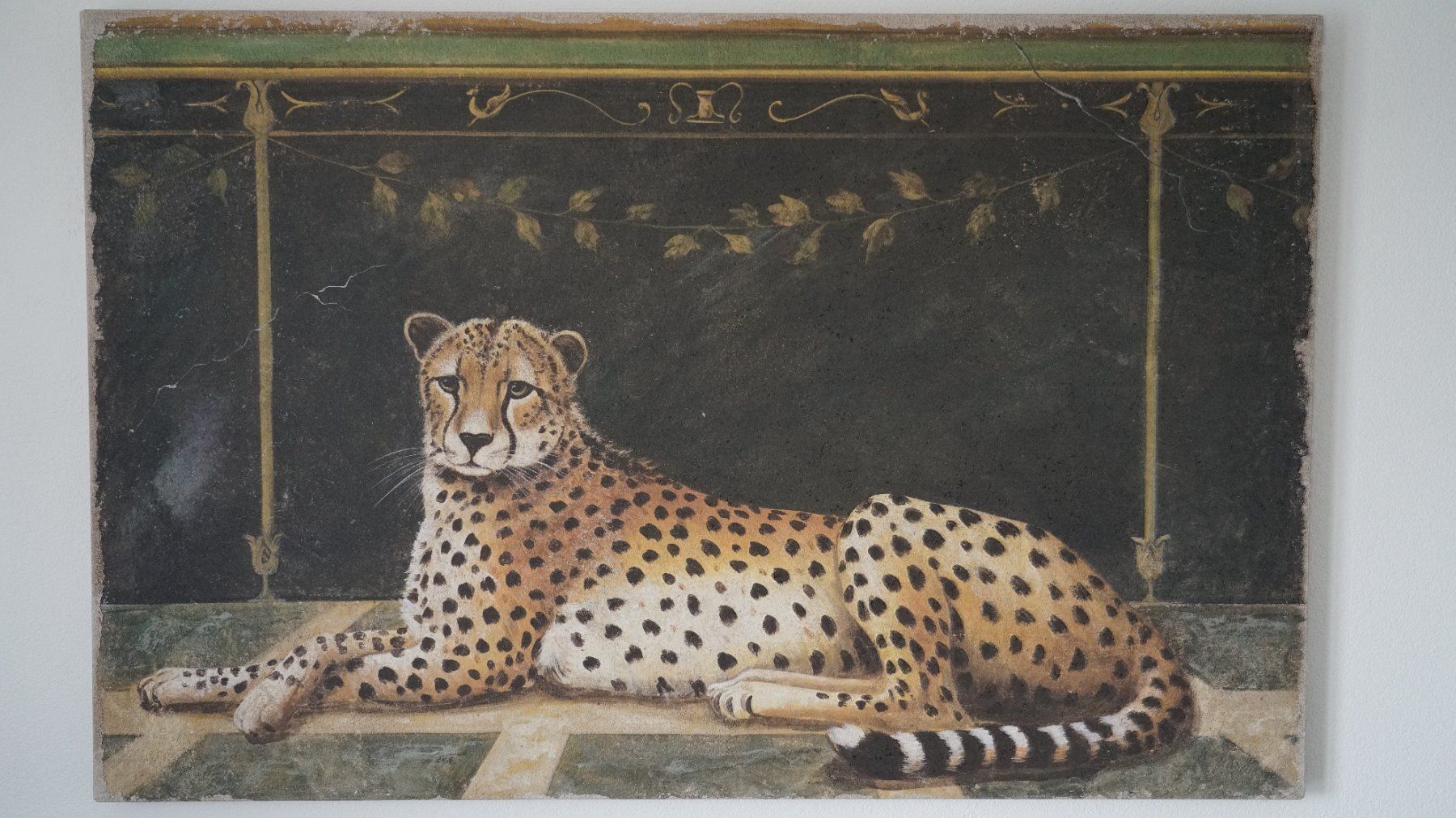 Poster & Bilder: Bild Gepard "Ghepardo Pompei" 140 x 90cm – Gebraucht aus Holderbank AG von Gute-Artikel