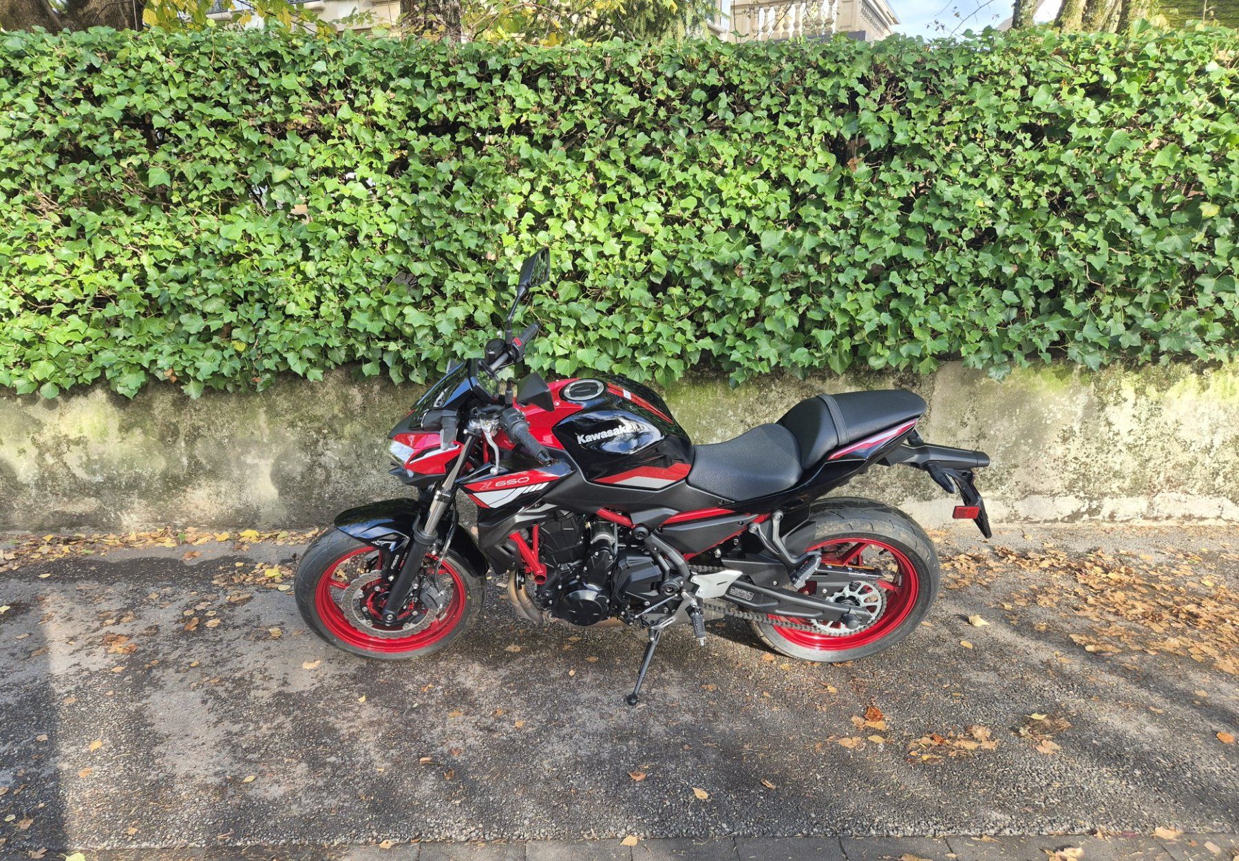 Kawasaki Strada: KAWASAKI Z 650 – Usato da Yverdon-les-Bains venduto da MotoMark 1