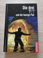 Die drei Fragezeichen ??? und die feurige Flut Kinderbuch
