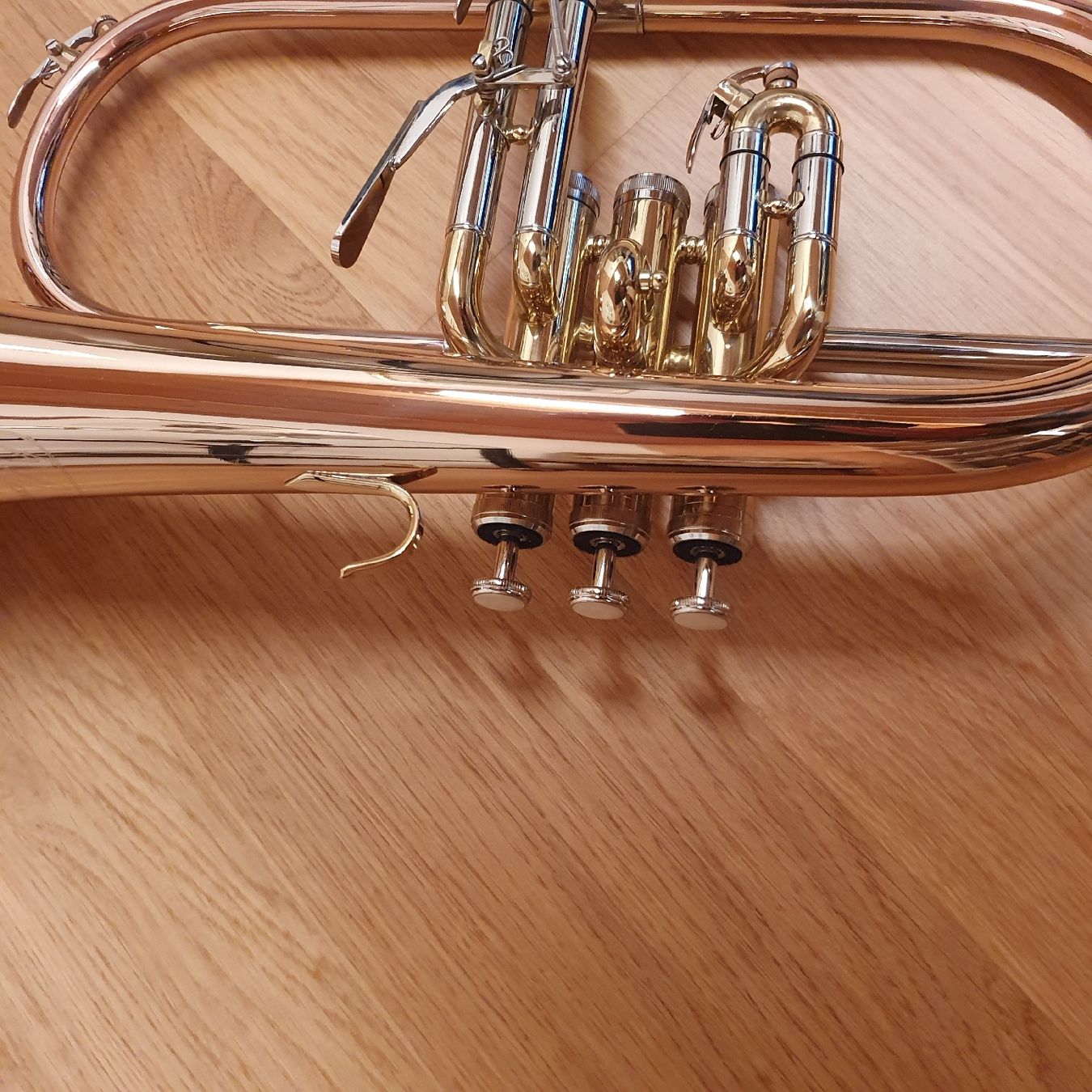 Strumenti musicali: Flügelhorn Monzani – Nuovo (secondo la descrizione) da Disentis/Mustér venduto da Ri170903 2