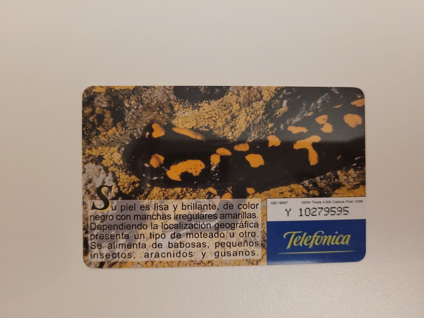 Telefon- & Taxkarten: Telefonkarte Spanien "Salamander" – Gebraucht aus Inwil von Flower2325 1