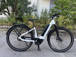 E-BIKE / FLYER Upstreet5 7.23 / 25 km/h