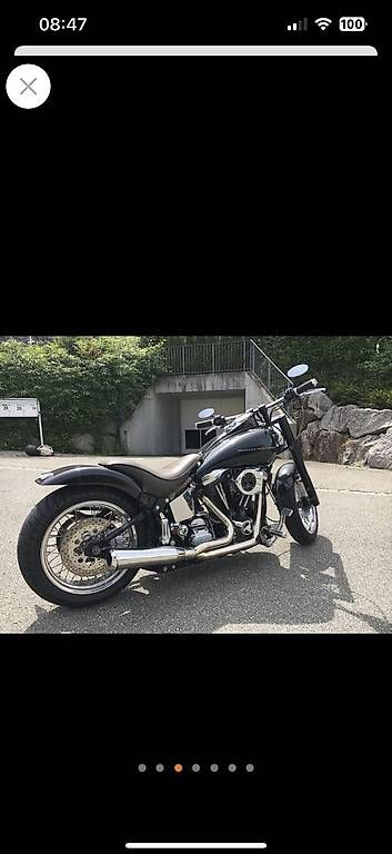 Harley-Davidson Chopper: Harley Davidson Softail Custom FXSTC – Gebraucht aus Winterthur von w108onair