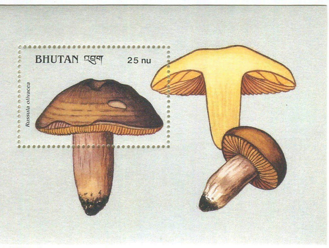 Tous les timbres: Block "Pilze". Bhutan – Neuf avec emballage d'origine à Basel par Butsch5