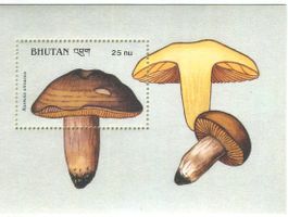 Block "Pilze". Bhutan