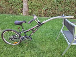 Kinder Fahrrad Anhänger Ally Cat Shadow, 
