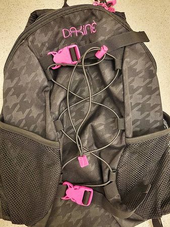 Dakine Wonder Girls neuwertig Rucksack