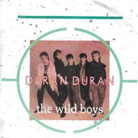 Duran Duran - The Wild Boys