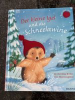 Kinderbuch Der kleine Igel und die Schneelawine