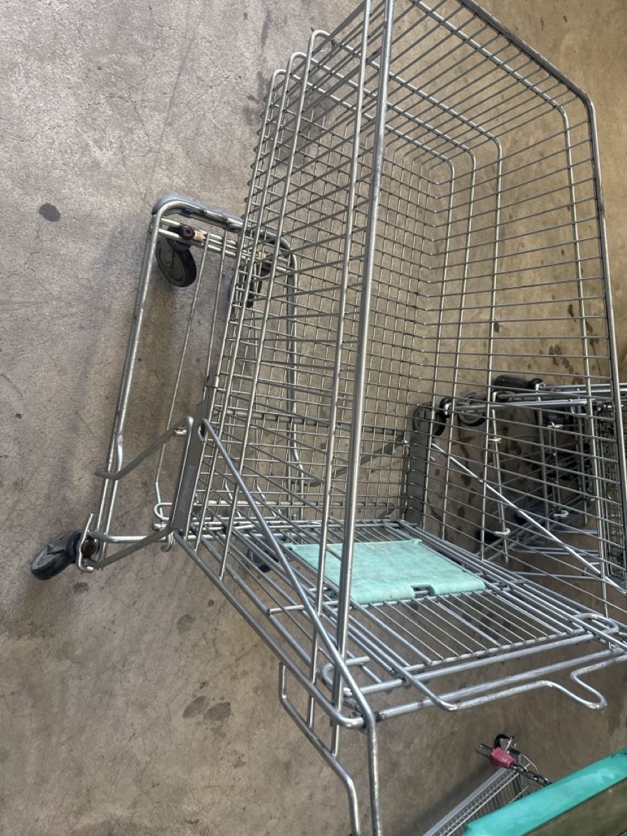 Valigie & Borse: Einkaufswagen – Usato da Horriwil venduto da Carrera68 1