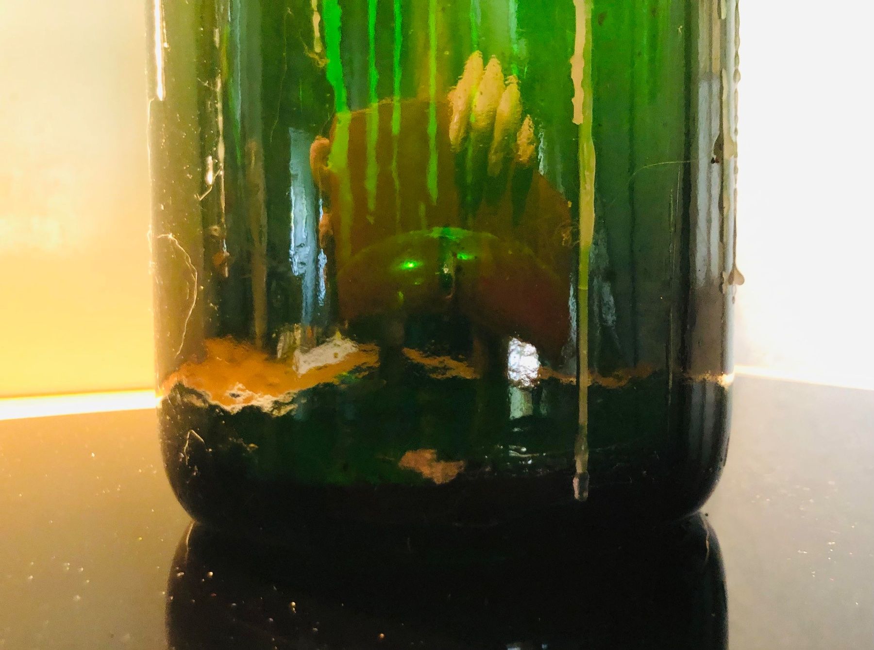 Bottiglie: Flasche mit Wachstropfen 1983 – Usato da Oberkulm venduto da Weberlisa 3