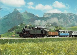 Train touristique a vapeur devant Gruyères