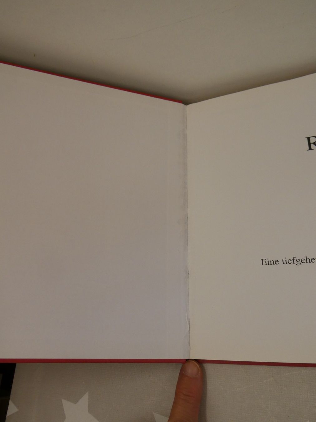 Bücher: Buch: Runen - Welten Igor Warneck – Gebraucht aus Rafz von Powacaddy 8