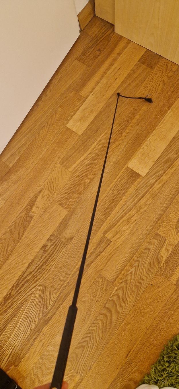 Altro in Accessori per animali: Reitgerte classic schwarz 95cm Felix Bühler – Nuovo (secondo la descrizione) da Frenkendorf venduto da gca_d2qp 3