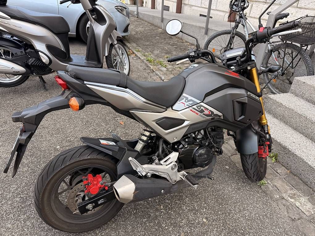 Route: Honda MSX 125  – D'occasion à Saland par afo_kp9f