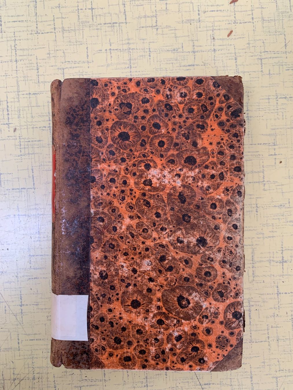 Libri: Johann von Müller's Schweizer Geschichte – Usato da Bazenheid venduto da ebarch 1