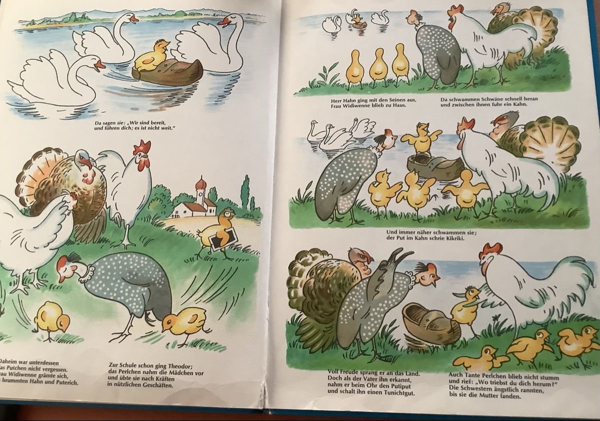Libri: Putiputs Abenteuer altes Kinderbuch von C.O. Petersen – Usato da Biel-Benken BL venduto da Lanma 2