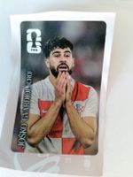 Panini Coca cola 