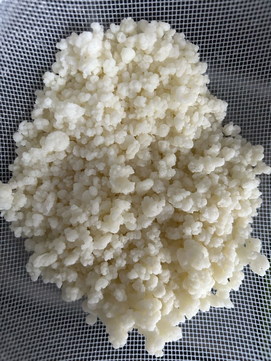 Cibi & Specialità: Gesunder Bio Milchkefir – Nuovo (secondo la descrizione) da Güttingen venduto da Hunzer