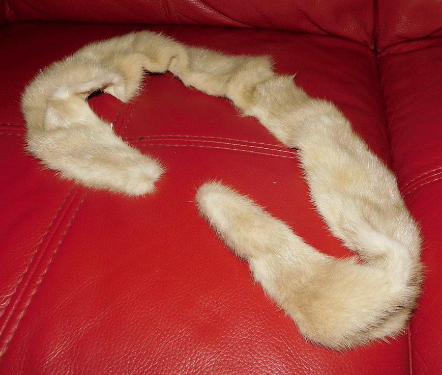 Il mondo degli animali: Tierhaut ( Fell ) ca. 100 cm lang – Usato da Villnachern venduto da Schnugelchen 1