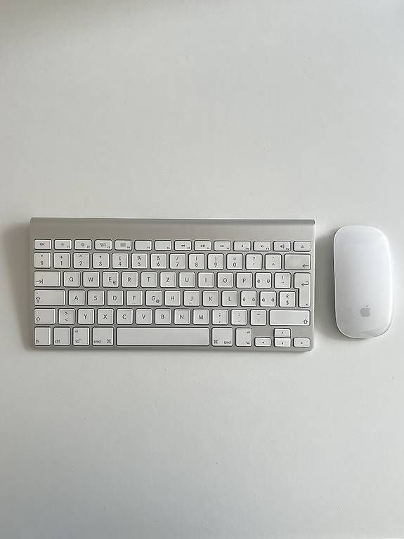 Apple Tastiere: Apple Magic Mouse & Magic Keyboard – Usato da Zürich venduto da dav_zs7v