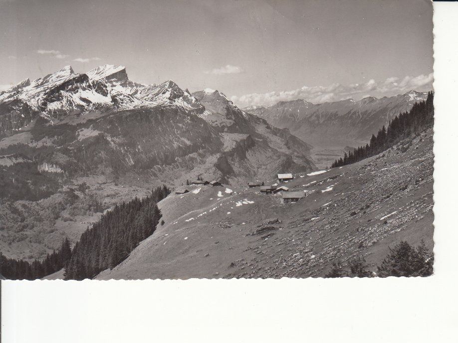 Cartoline postali: Moosbühlen 1949 – Usato da Bürglen TG venduto da StampGraf