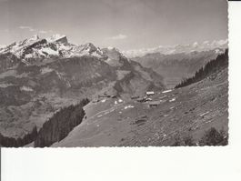 Moosbühlen 1949