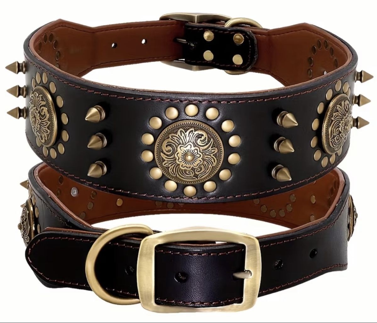 Leine & Halsband: hunde halsband – Neu (gemäss Beschreibung) aus Heerbrugg von mela3400