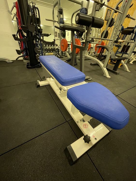 Hantelbank Nautilus / Hammer Strength / Cybex Kaufen auf Ricardo