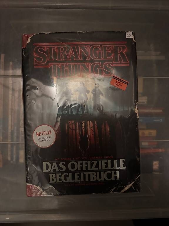 Bücher: Stranger Things Buch  – Gebraucht aus Hünenberg See von luc_lxp9