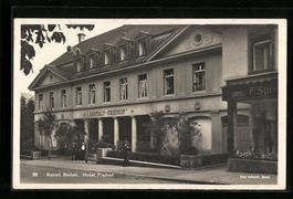 AK Baden, Hotel Freihof, 1928