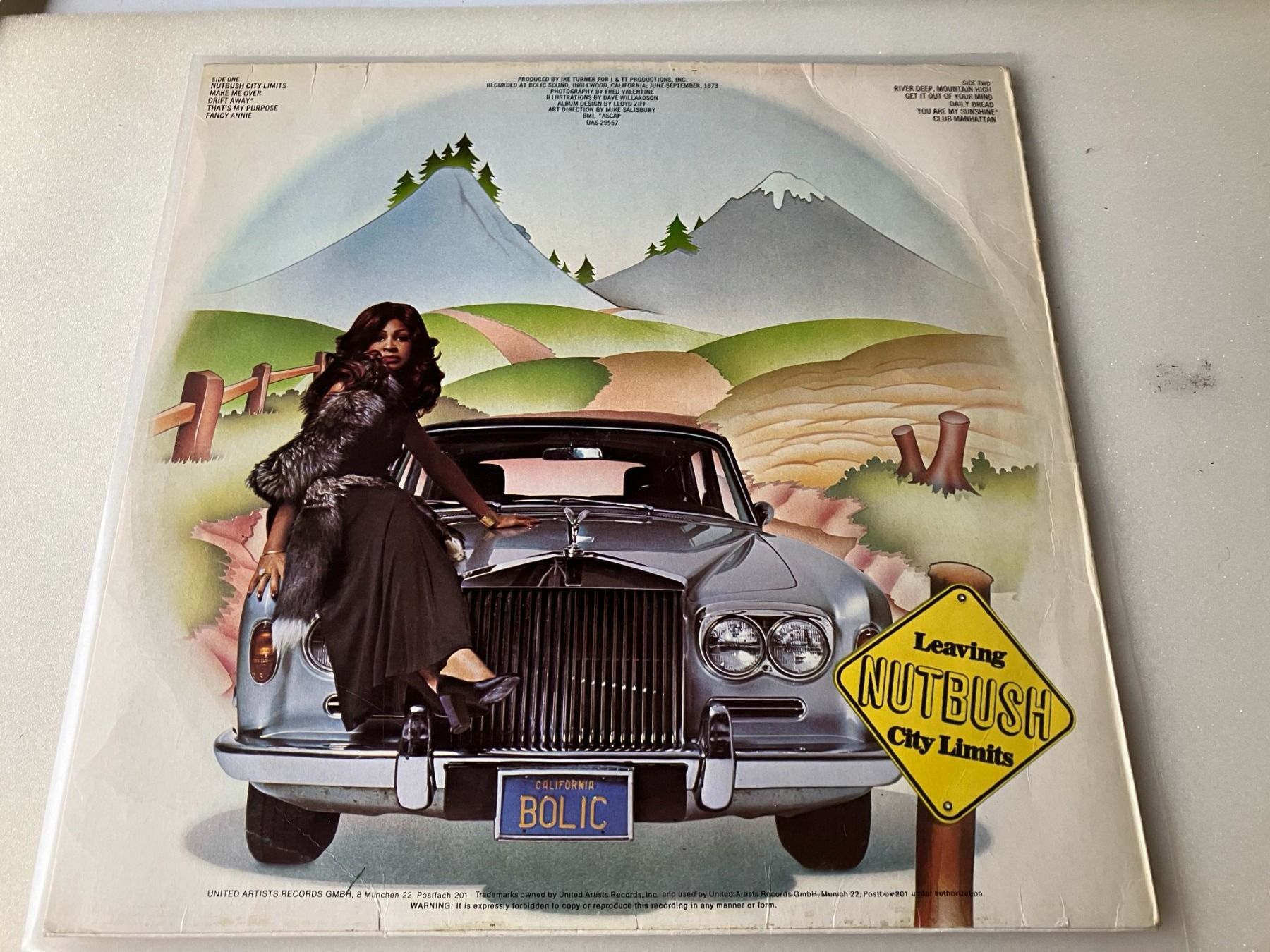 Dischi in vinile: Tina Turner – Usato da Aarwangen venduto da Jukebox3 2