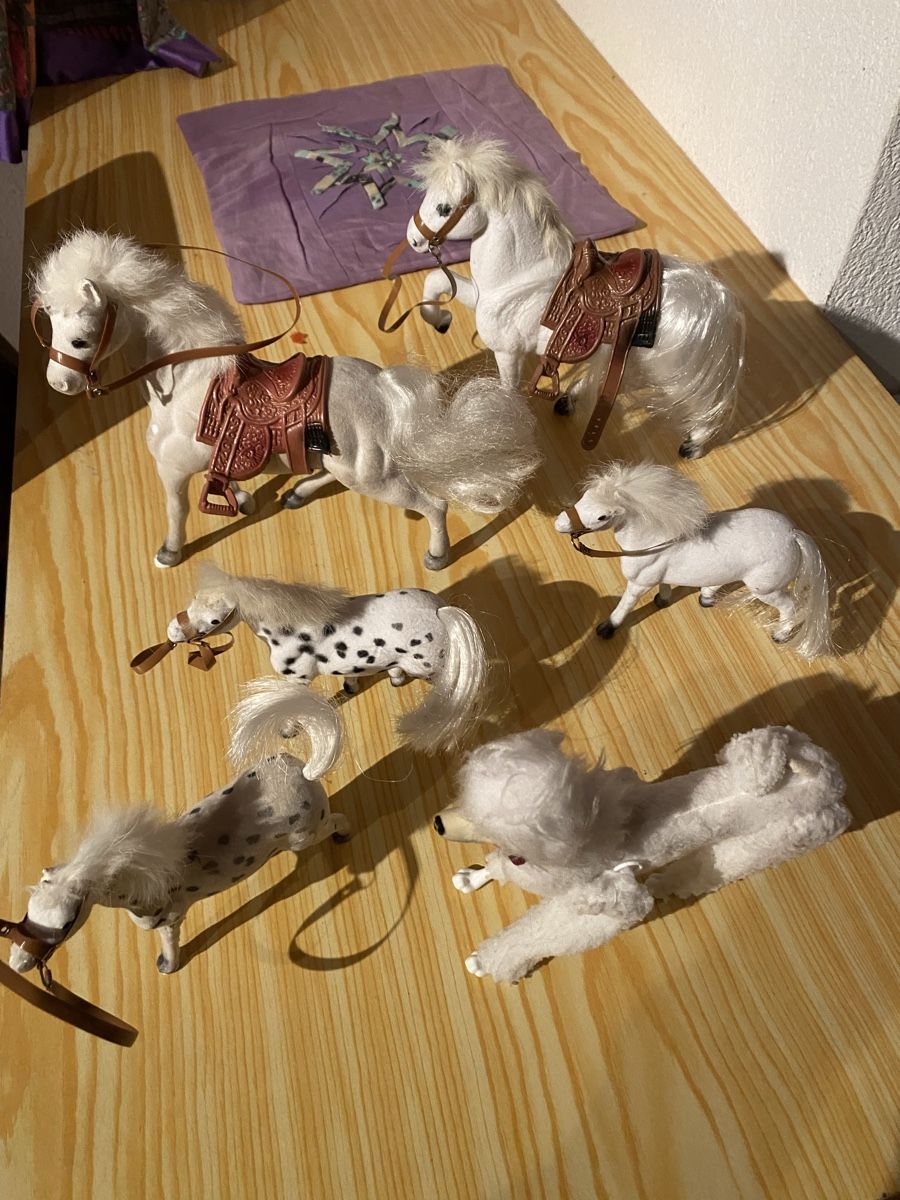 Spielzeuge: Pferde zu Barbie – Gebraucht aus Safenwil von Fairtrade2012 2