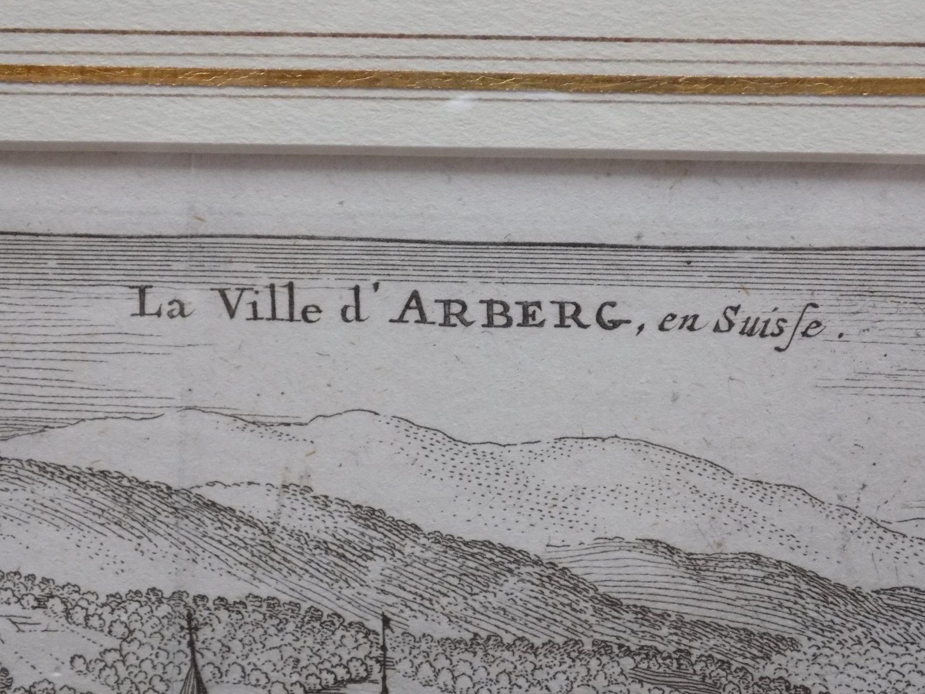 Incisioni: Aarberg von Scheuchzer selten – Usato da Risch venduto da Rischli15 3