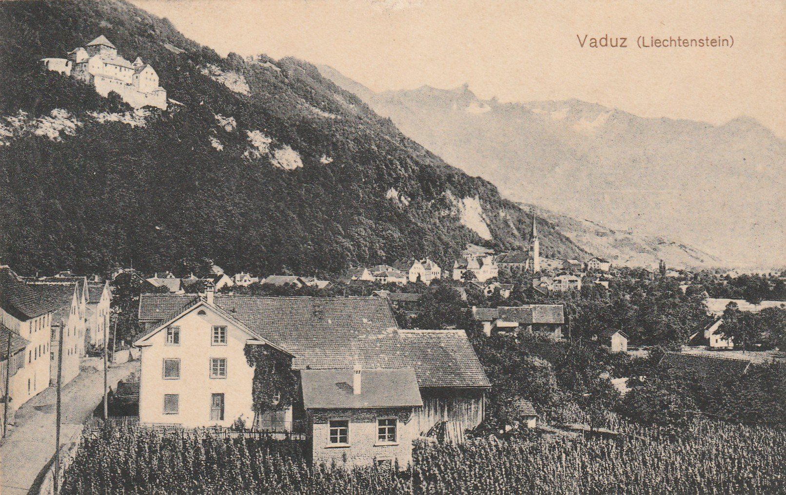 Tutti i francobolli: FL Zu. Nr. 2 auf Ak Vaduz – Usato da Rorschacherberg venduto da fratovi2 2