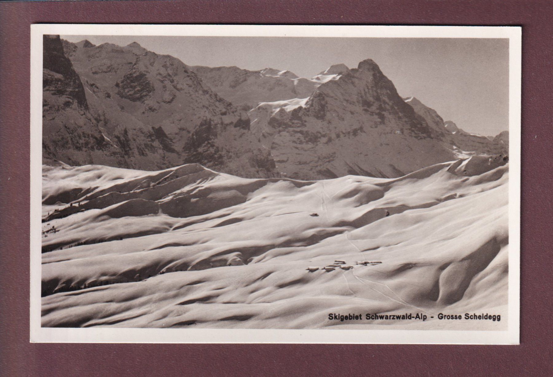 Cartoline postali: Skigebiet SCHWARZWALD-ALP - Grosse Scheidegg – Usato da Pully venduto da nicecards