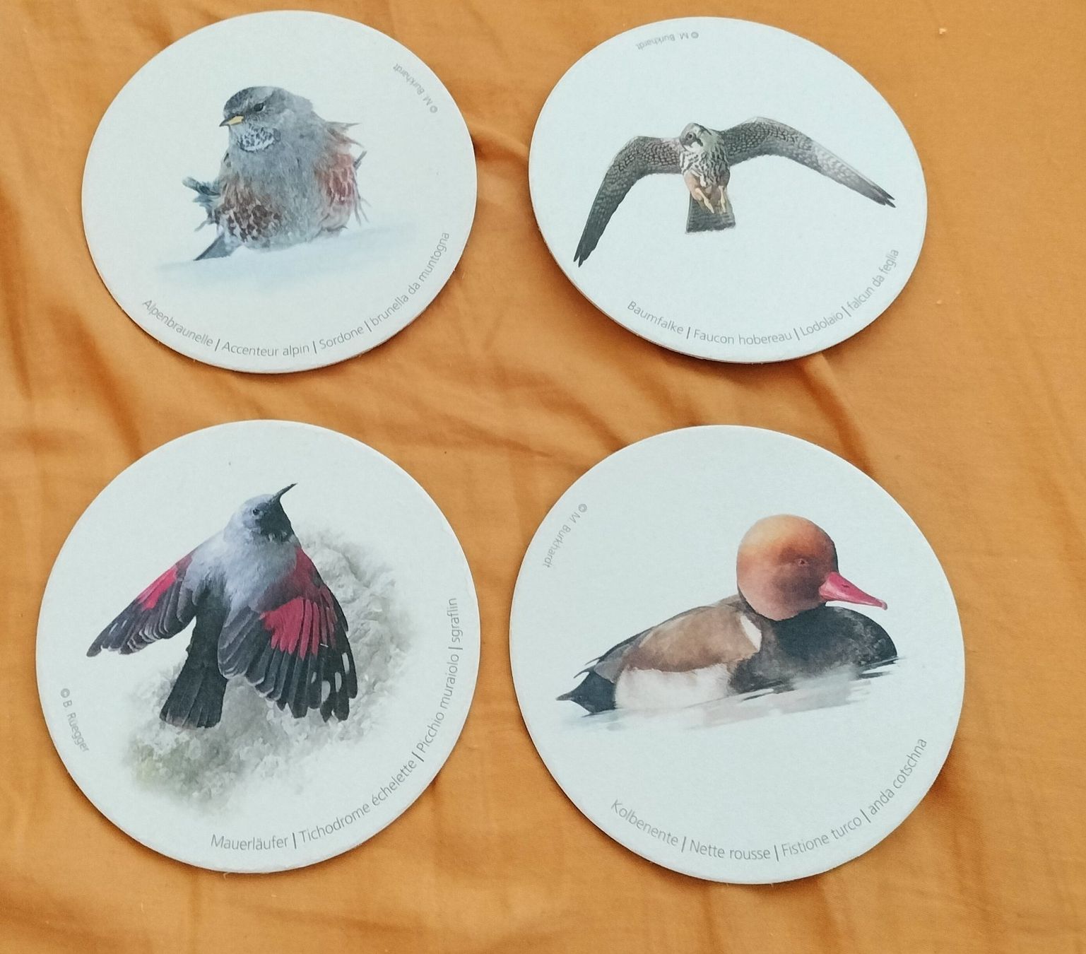 Dessous de verre: 4 Glasuntersetzer – D'occasion à Heimberg par Rockenrol